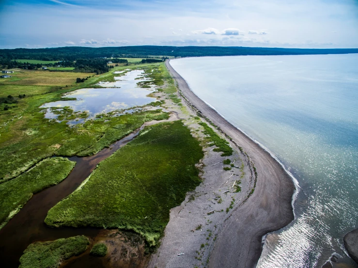 an aerial view of a beach area with many water plants and trees