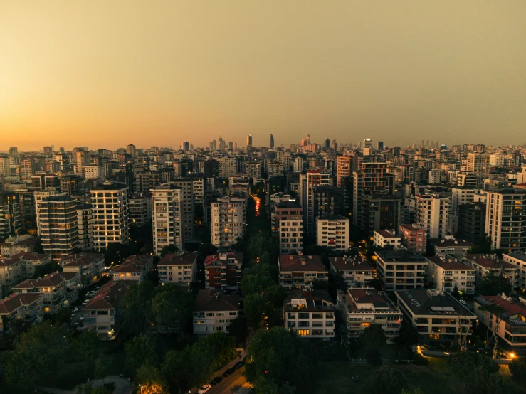 a view of city buildings and the trees in the foreground