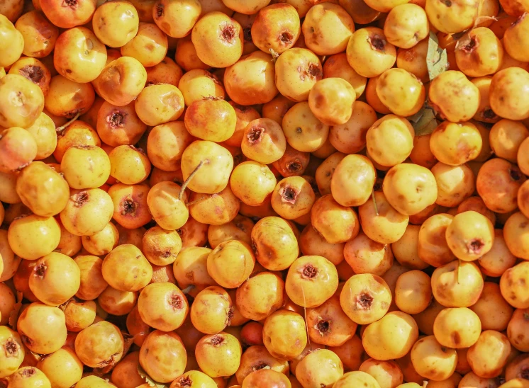 a close up s of some yellow berries