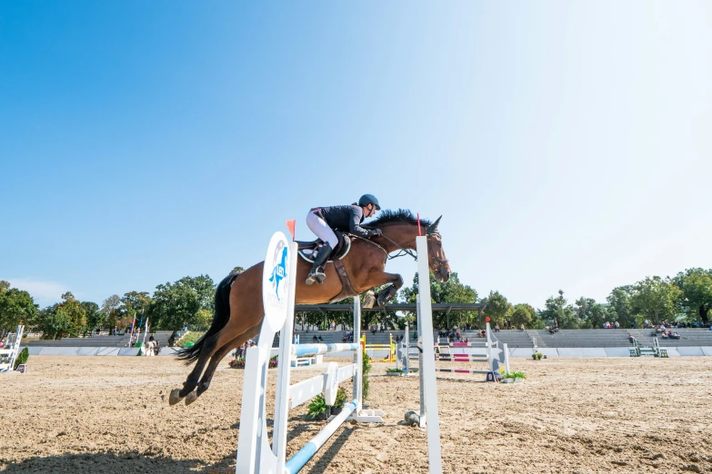 a man riding a horse over an obstacle