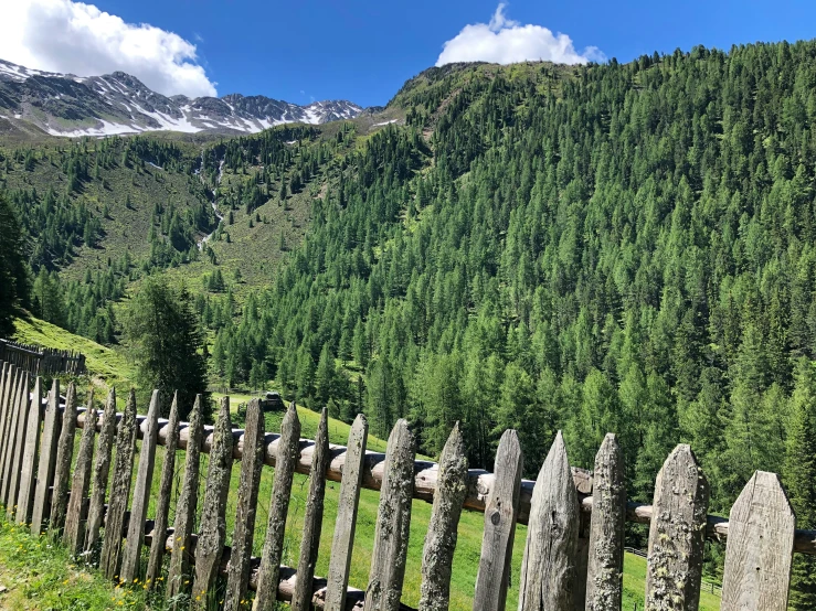 a wooden fence in front of a large forested hill