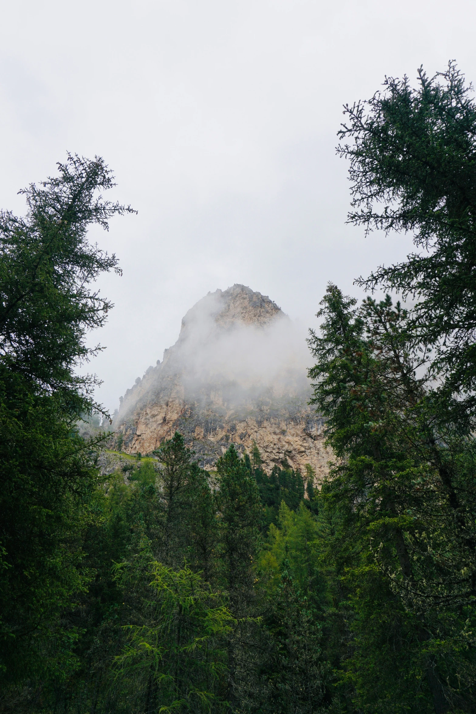 a cloudy mountain with trees surrounding it