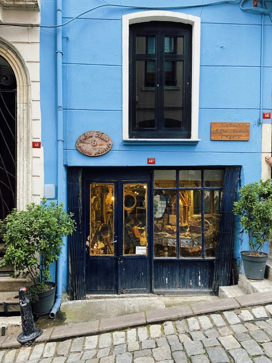 blue painted building with multiple plants and windows