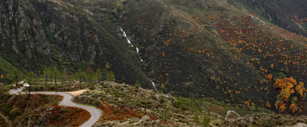 a winding pathway and scenic mountain area with fall colored leaves