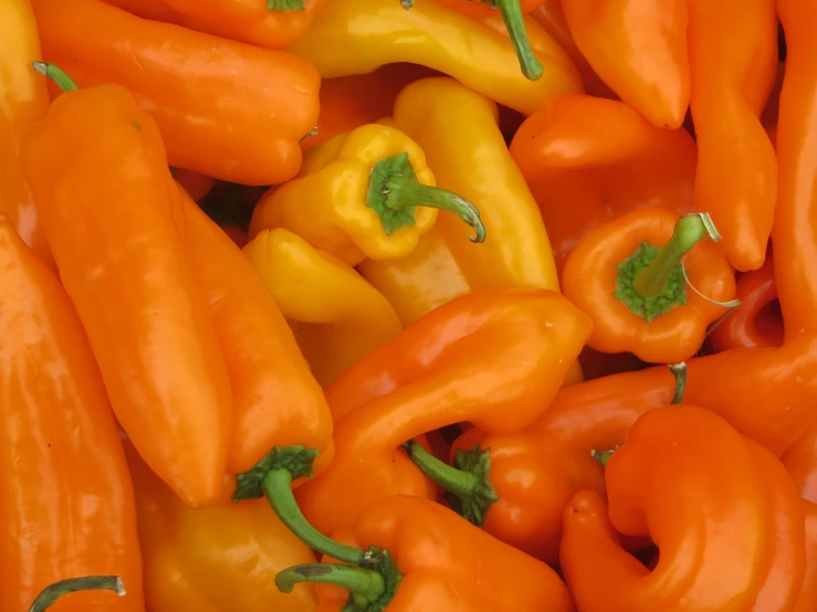 some very pretty orange and yellow peppers