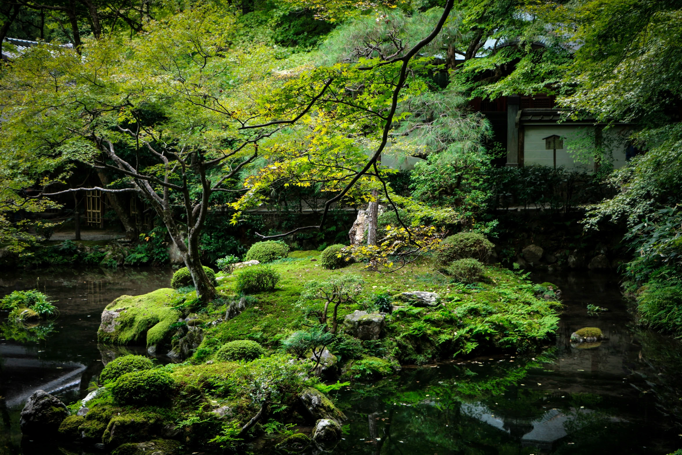 a river runs past a lush green tree filled garden