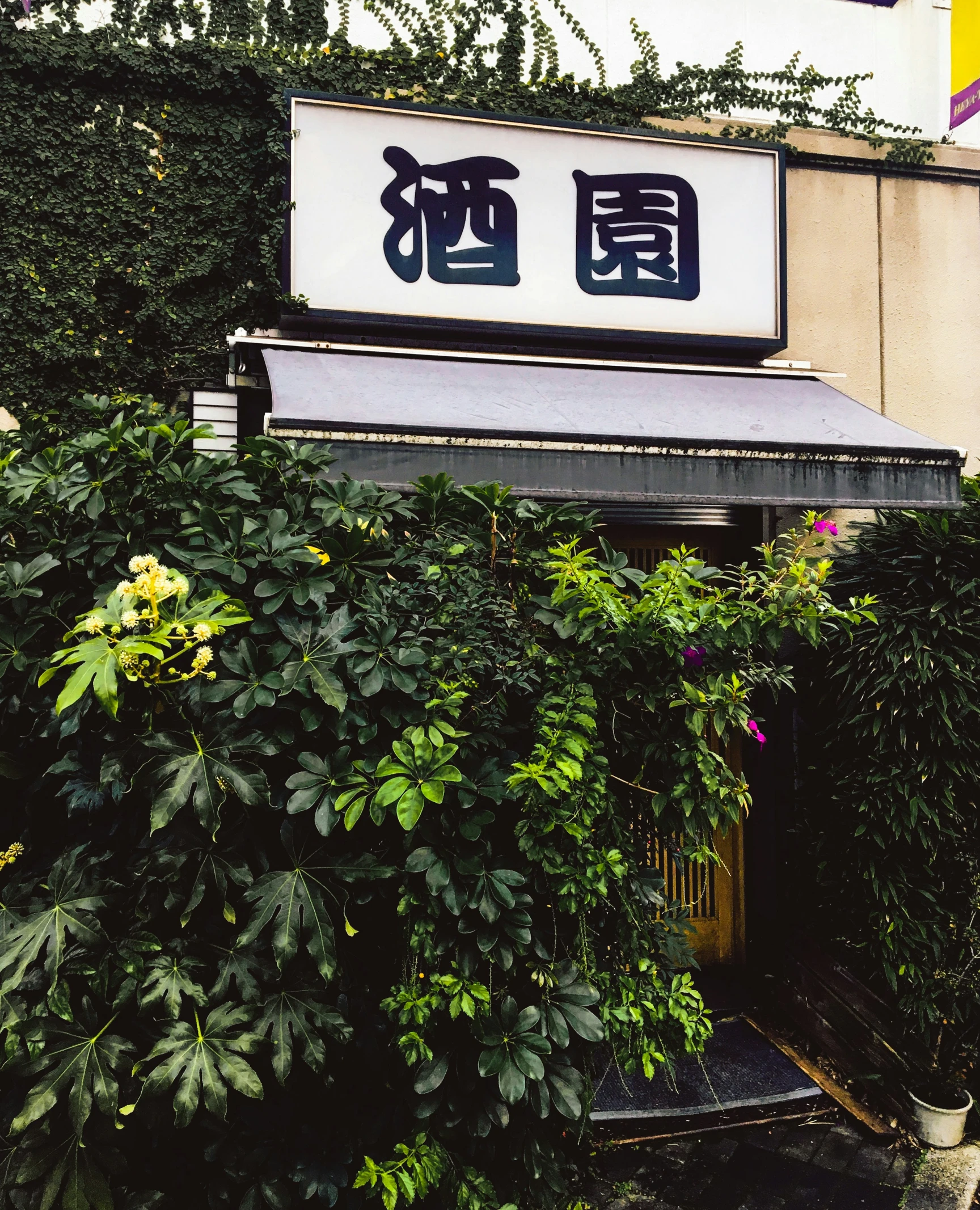 the entrance to an asian restaurant on a sunny day