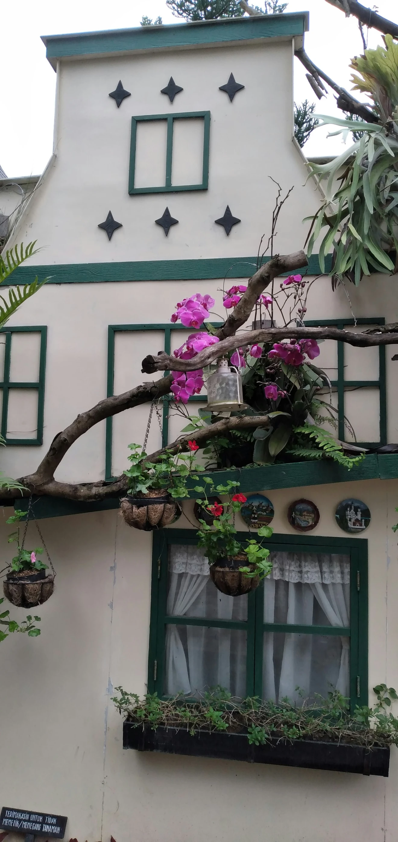 a white house with potted plants on the side