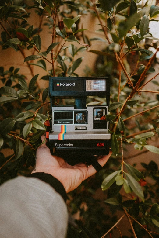 person holding up an old polaroid camera while taking it to the camera