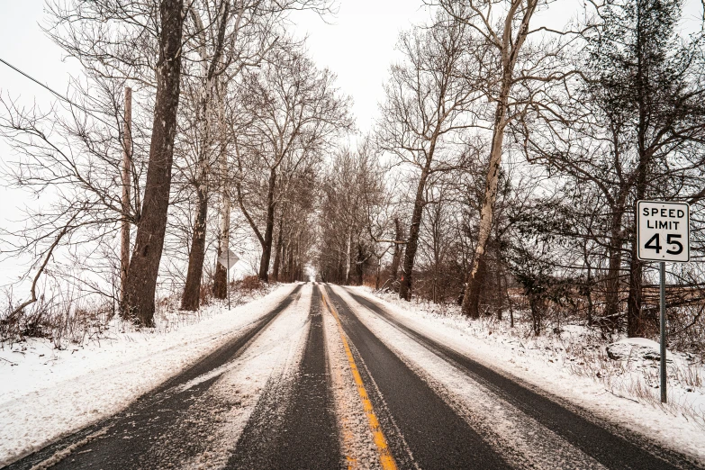 a snowy street with some trees in the foreground