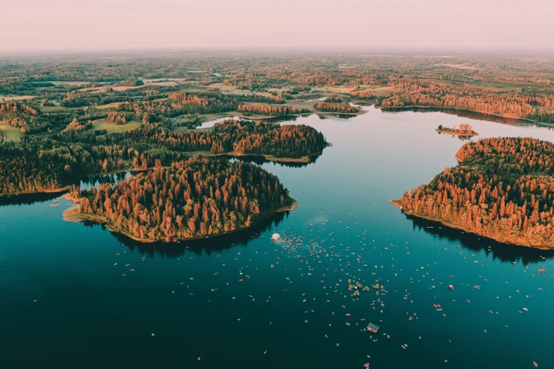 a lake surrounded by trees in a forest