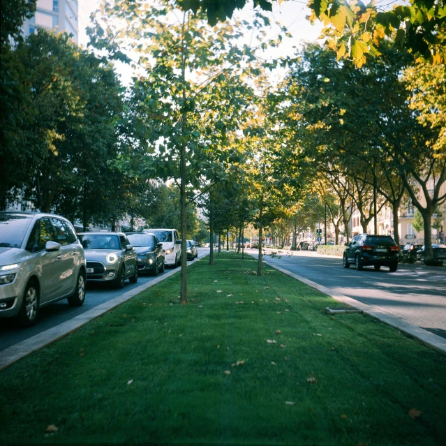 an urban park lined with trees and parked cars
