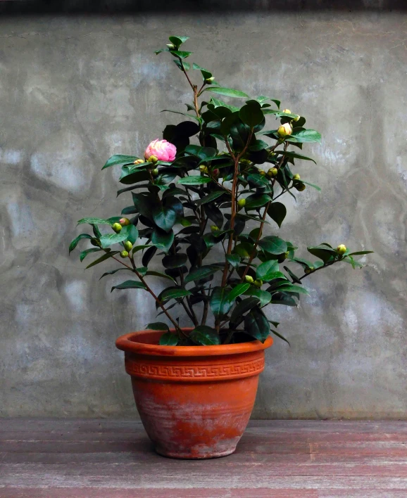 a large pot with flowers on it is sitting