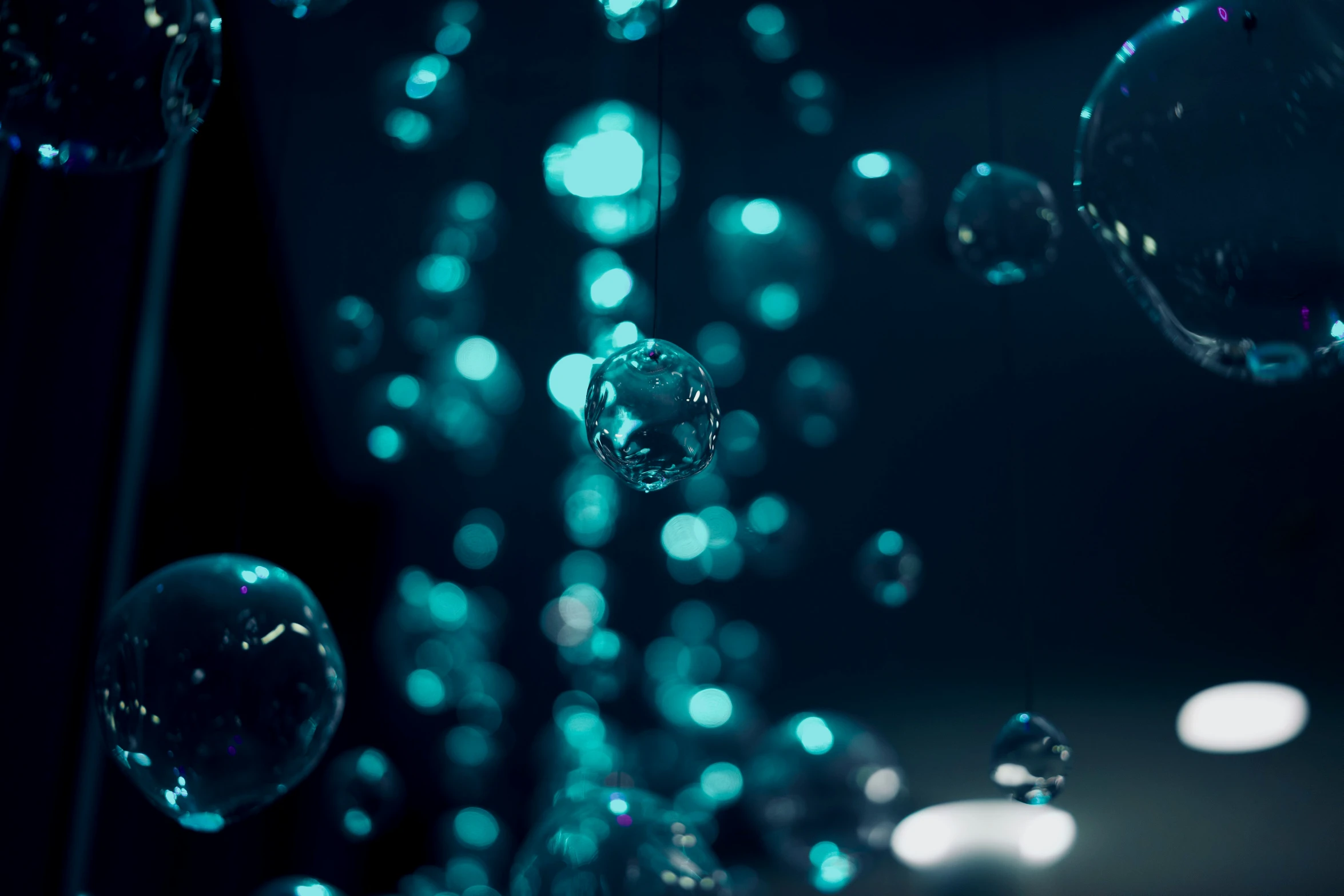 water bubbles are suspended over a dark background