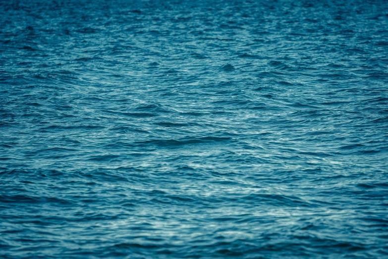 a lone white object floating in the ocean