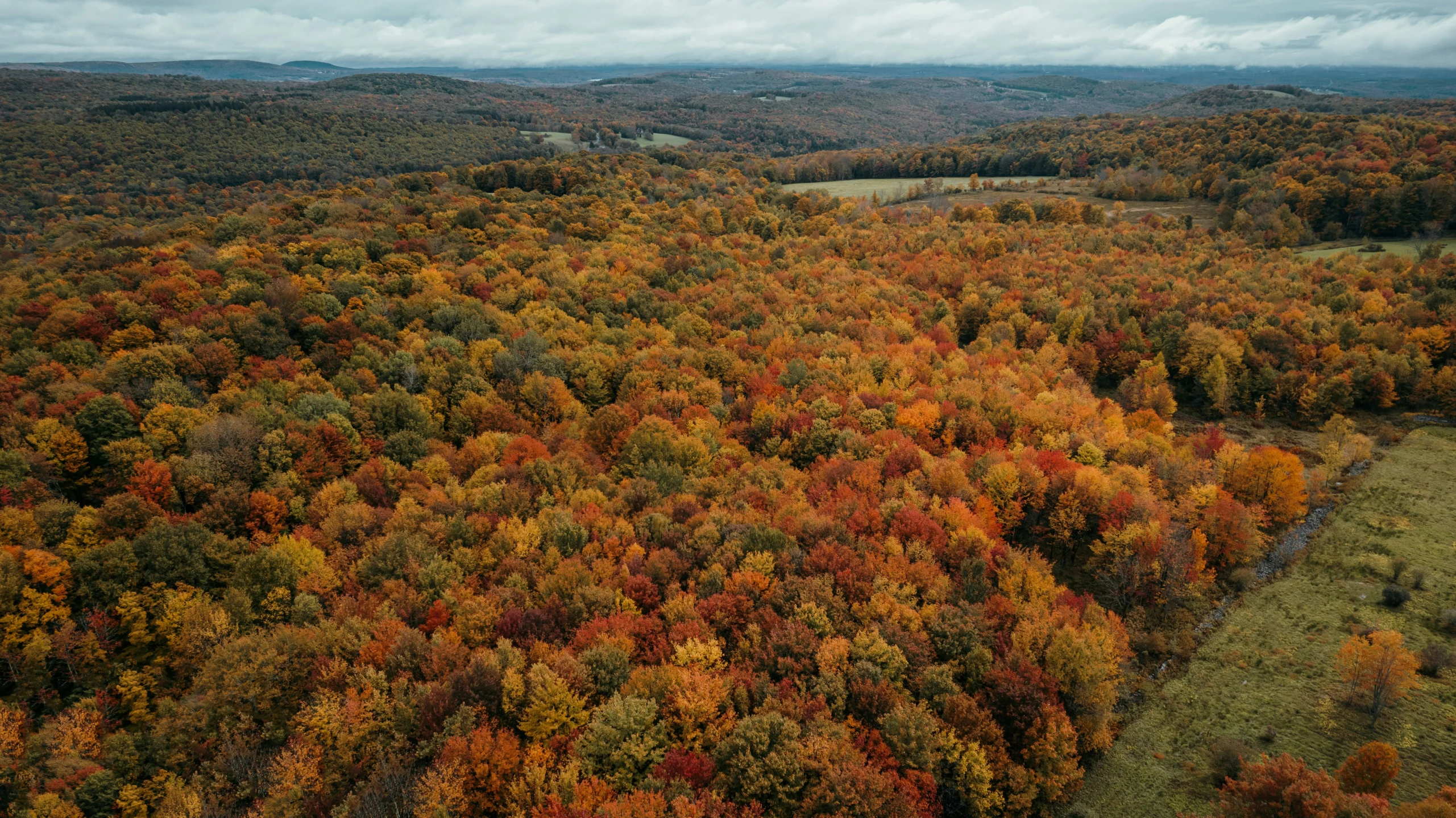 autumn color trees are in the area with many trees