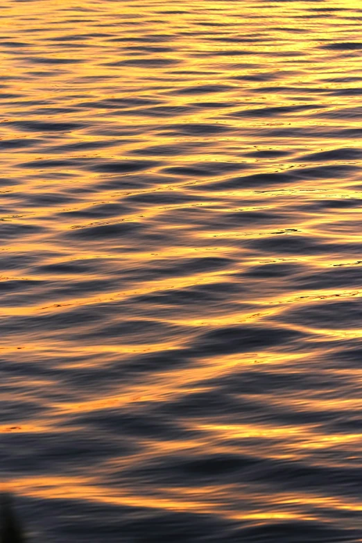 a person sitting on a bench while looking out into water