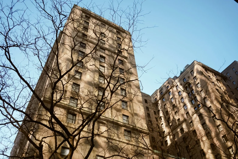 some buildings are standing next to trees on a sunny day