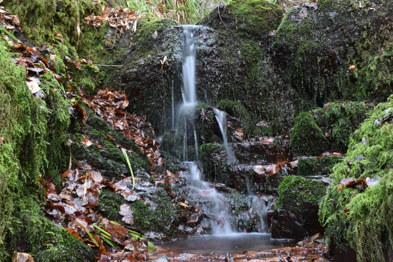 a small waterfall running over a moss covered hill