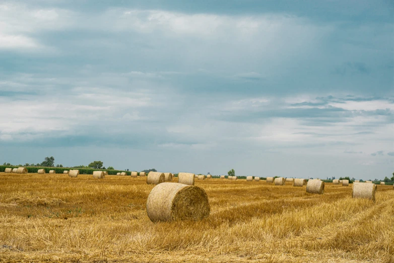a field with bales of hay on the side of it