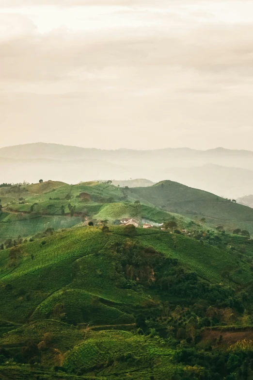 green mountains rise to the sky as a train makes its way across them