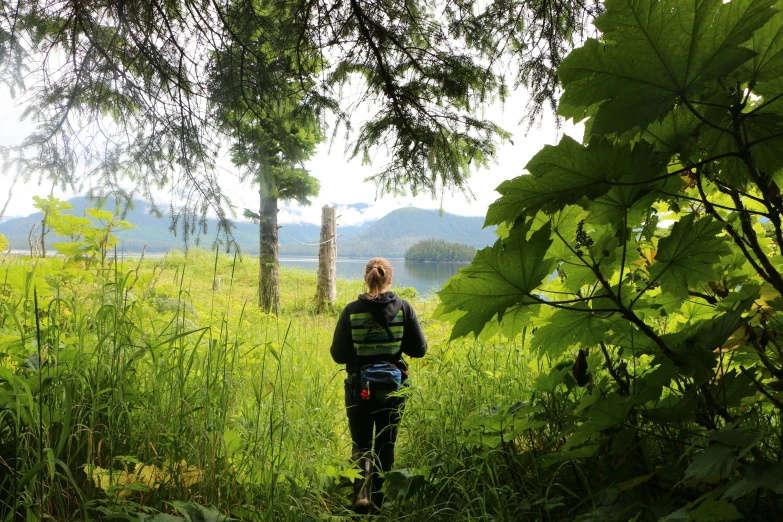 a woman in green shirt walking through tall grass