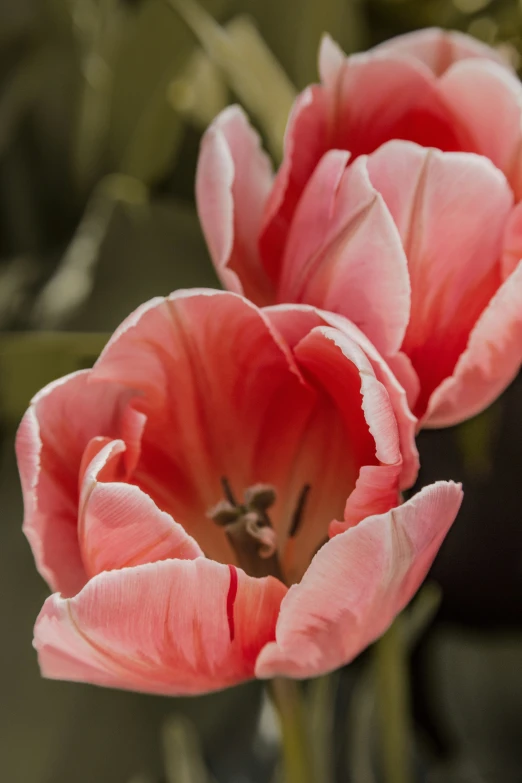 a vase full of pink flowers sitting on a table