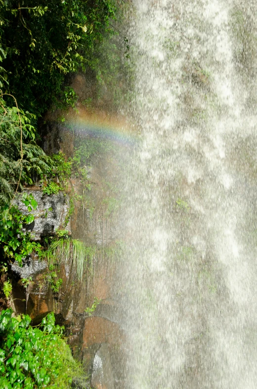 rainbow appearing through the water on the side of a waterfall