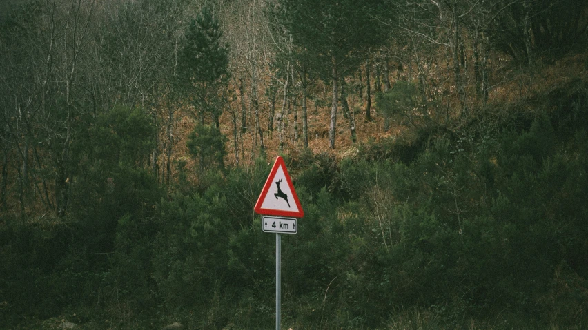 the sign is posted beside a wooded area