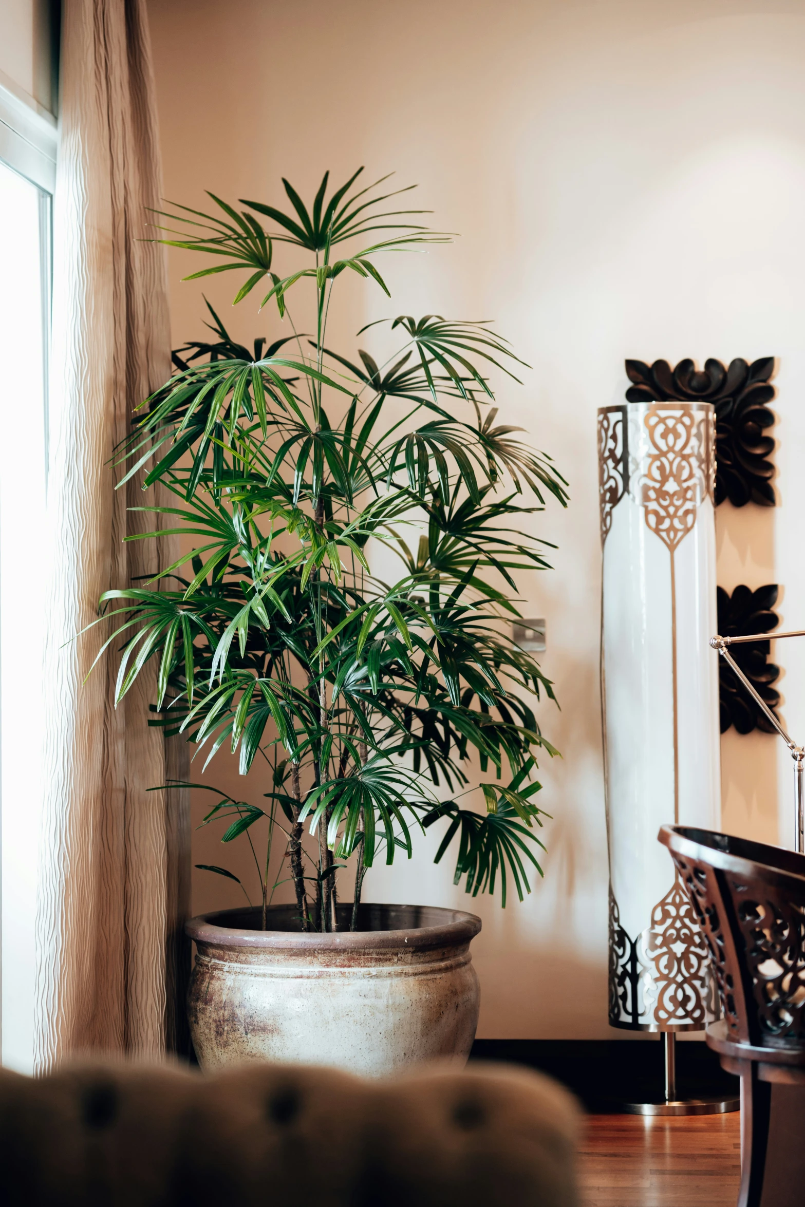 a large potted plant sits on the wooden floor near a chair