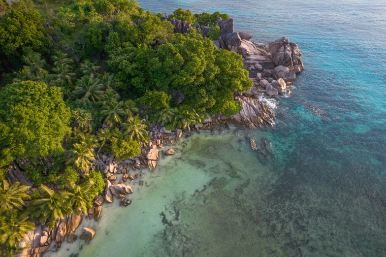 an aerial view of a tropical island on the water