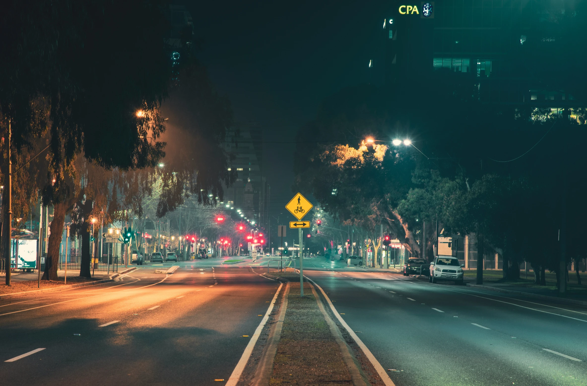 night city street lights and traffic with trees