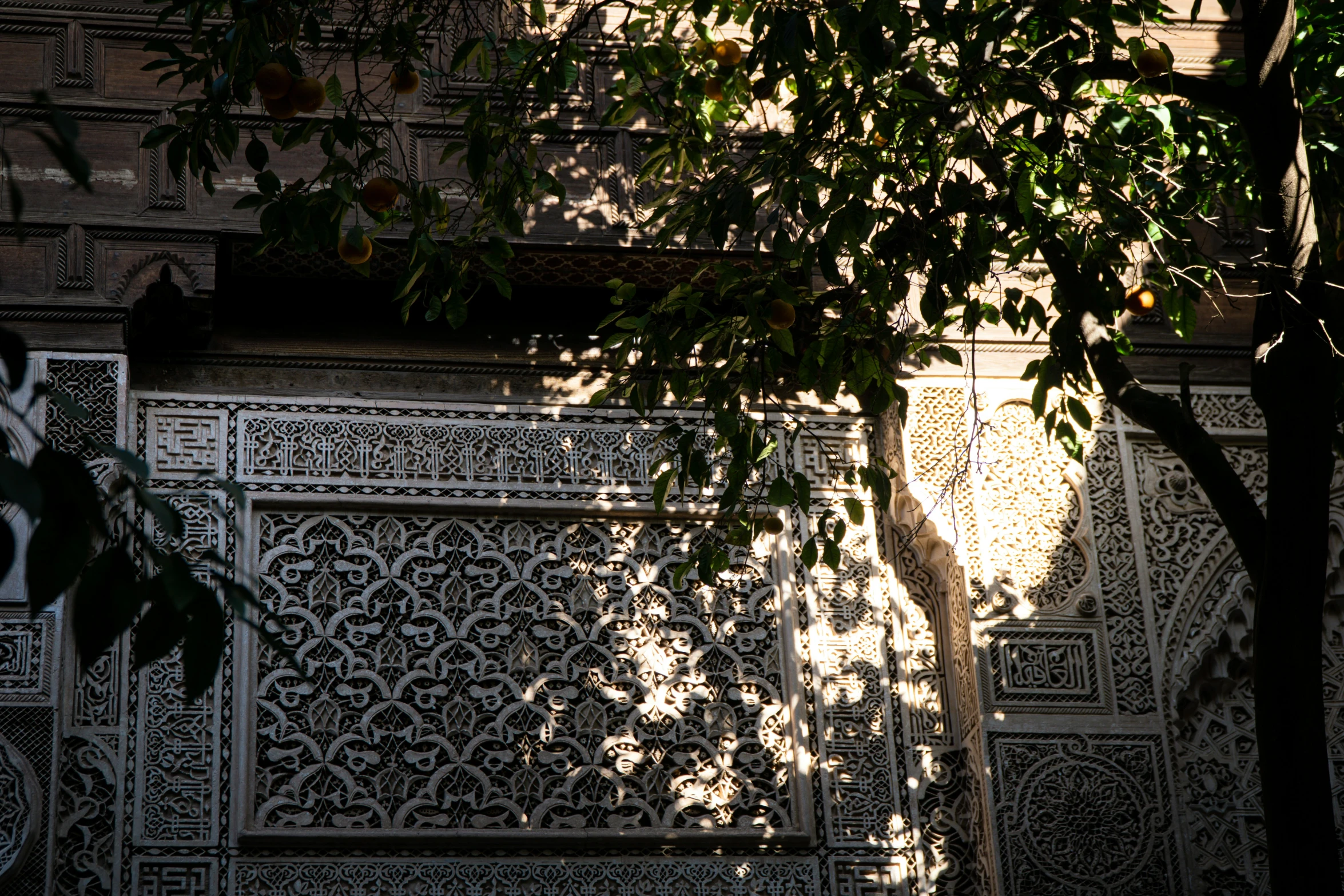 shadows cast on the wall by the tree