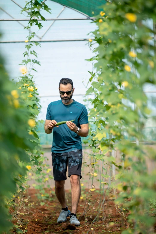 a man is walking through a greenhouse holding a phone