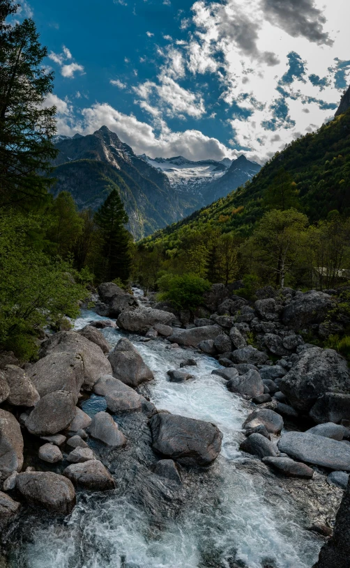 a small creek in the middle of a forested mountain