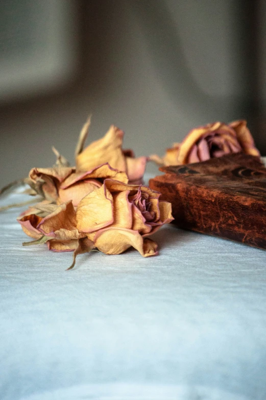 an image of yellow and white rose petals on a table