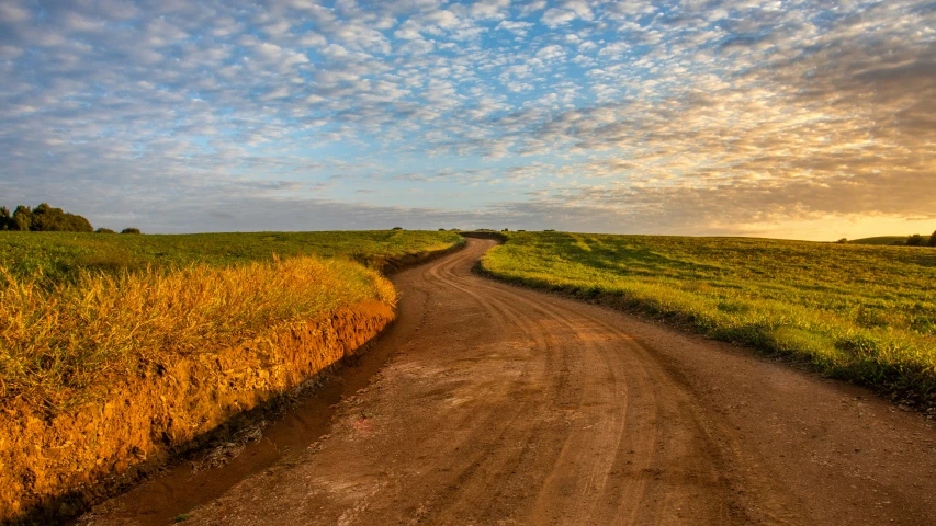 a dirt road in front of a grassy field