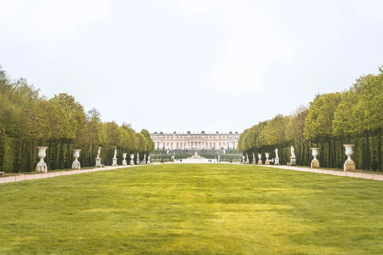 long hedges line the entrance to an elegant palace