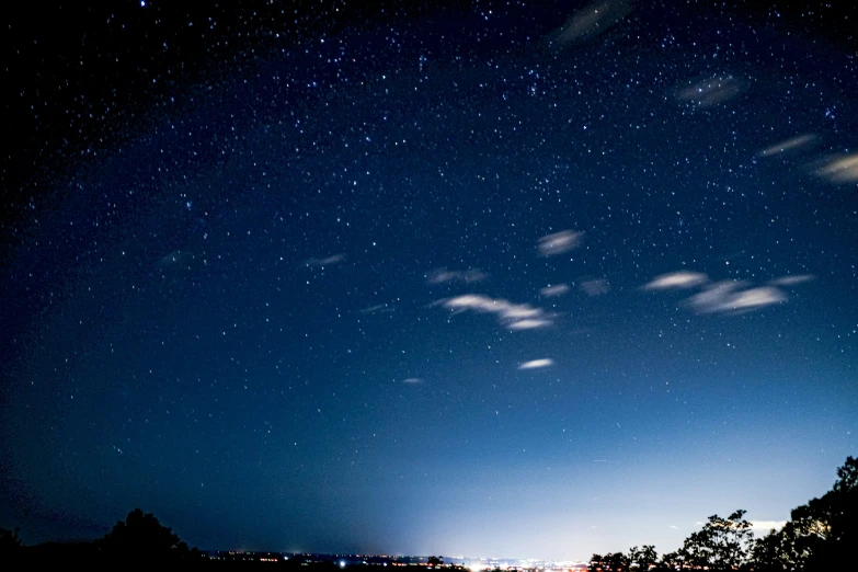 night sky above trees and a body of water