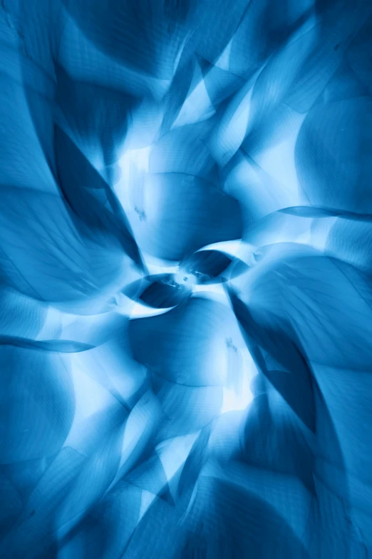 an abstract blue flower background with curves