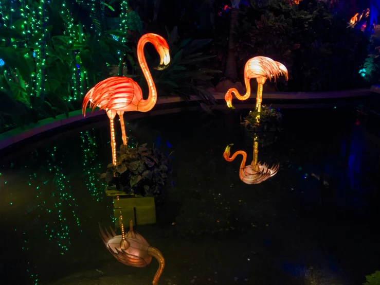lighted flamingos in water pool near foliage