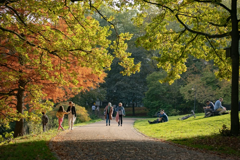 people are walking down the street in a park