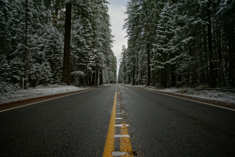 a road in the middle of the woods has snow on it