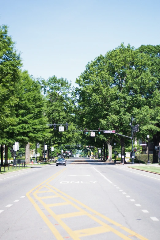 a empty street lined with trees in the summer