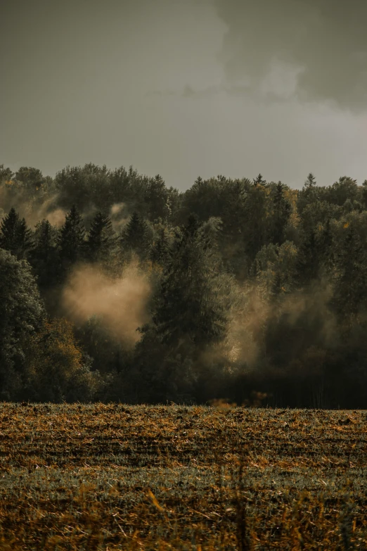 a field in front of trees with storm clouds