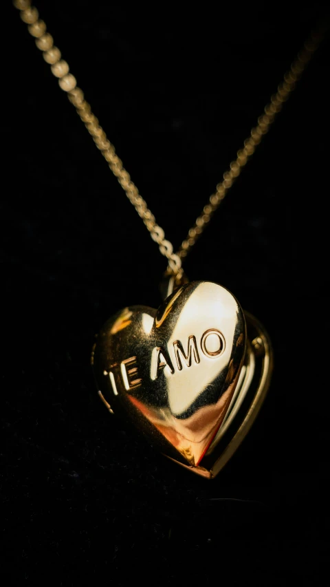 this is an image of a necklace with two hearts