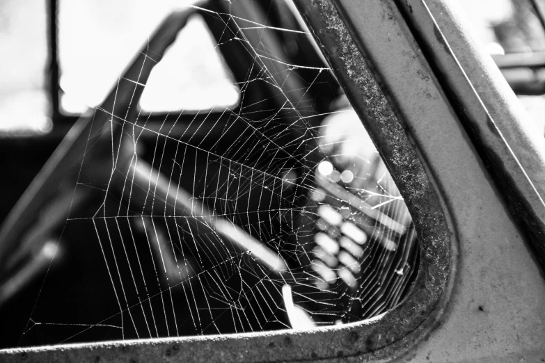 a web of spiderweaks inside the window of a vehicle