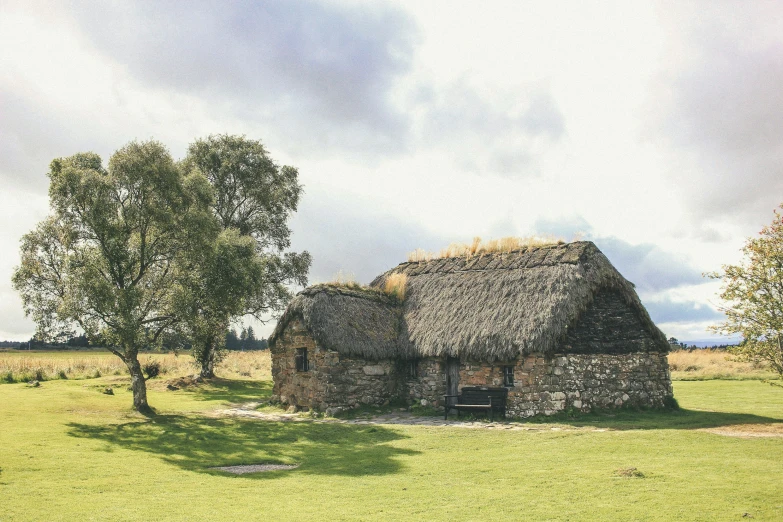 two trees and a stone house in a grassy field