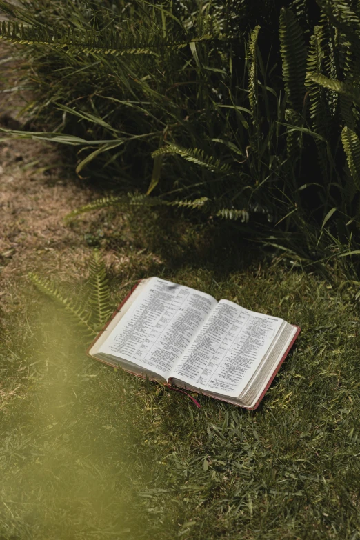 an open book that is laying in the grass