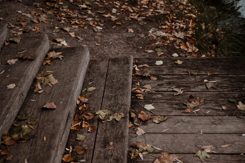 a bench covered with leaves on the ground